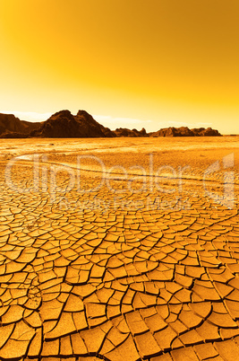 desert landscape