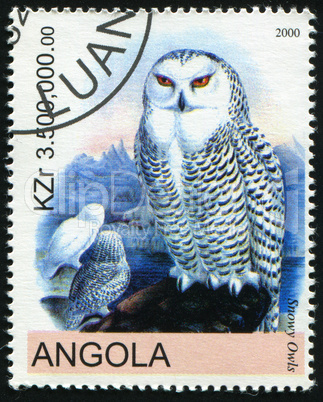 postage stamp