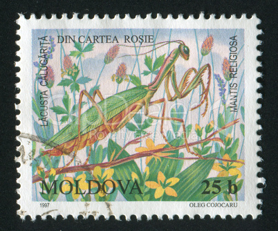 postage stamp