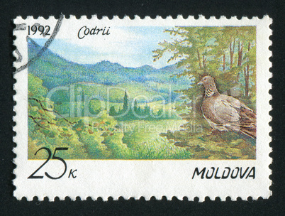 postage stamp