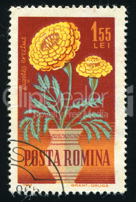 postage stamp