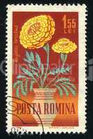 postage stamp