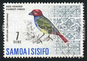 postage stamp