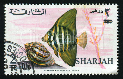 postage stamp