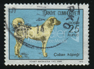 postage stamp