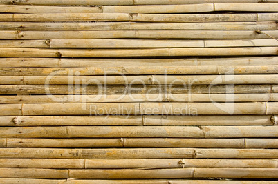 bamboo background