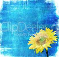 vintage image of sunflower on grunge background