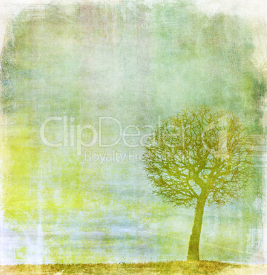 grunge image of a tree on a vintage paper