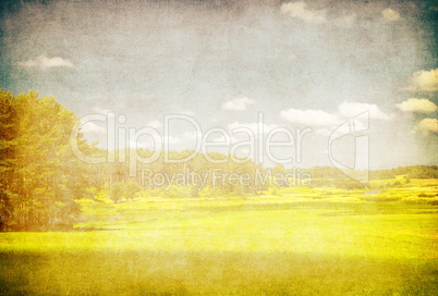 grunge image of green field and blue sky