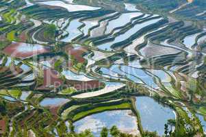 rice terraces of yuanyang,  yunnan, china