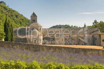 senanque abbey, provence, france