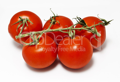 Tomatoes On The Vine