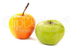 The apples, on a white background, isolated
