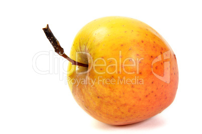 The apple, on a white background, isolated