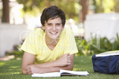 Male Teenage Student Studying In Park