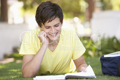 Male Teenage Student Studying In Park