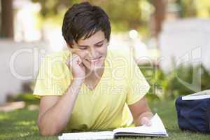 Male Teenage Student Studying In Park