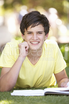 Male Teenage Student Studying In Park