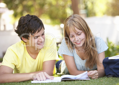 Teenage Student Couple Studying In Park