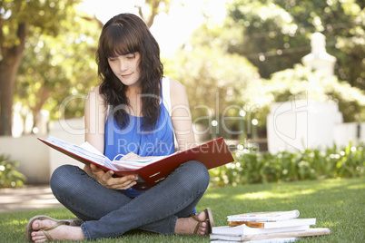 Female Teenage Student Studying In Park