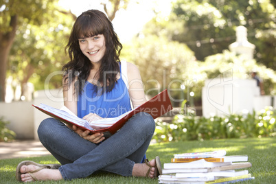 Female Teenage Student Studying In Park