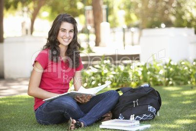 Female Teenage Student Studying In Park