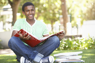 Male Teenage Student Studying In Park