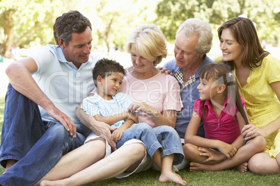 Extended Group Portrait Of Family