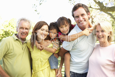 Extended Group Portrait Of Family