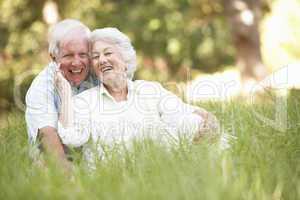 Seniorenpaar im Gras