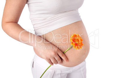 Pregnant Woman Beauty