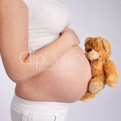 Teddy Bear and Pregnant Belly