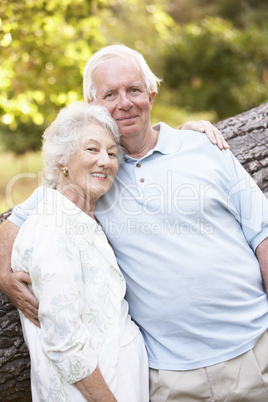 Senior Couple Walking In Park