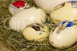 Bemalte Ostereier im Nest