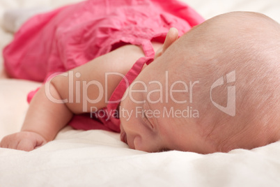 Baby Girl Toddler Lying on Stomach