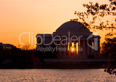 Cherry Blossom and Jefferson Memorial