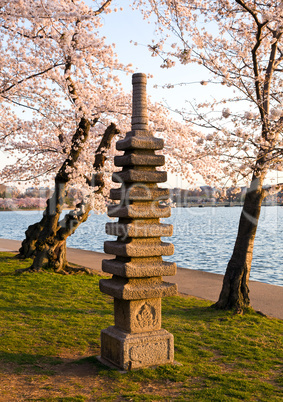 Cherry Blossom and Japanese Monument