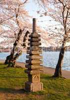 Cherry Blossom and Japanese Monument