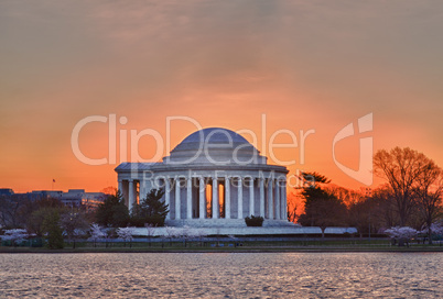 Cherry Blossom and Jefferson Memorial