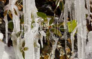 Weeping wall in Smoky Mountains covered in ice