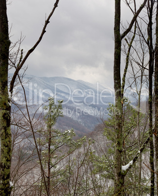 Snowy hike in Smoky Mountains