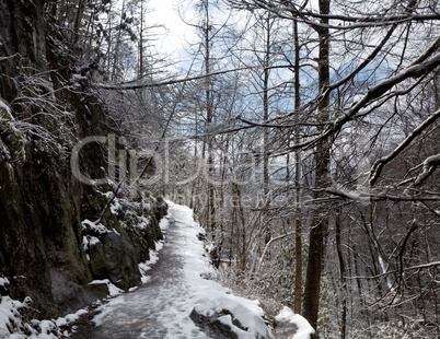 Snowy hike in Smoky Mountains