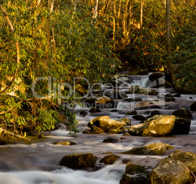 Raging stream in spring in Smokies