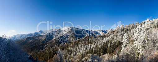 Mount leconte in snow in smokies