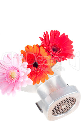 Conceptual photo with flowers