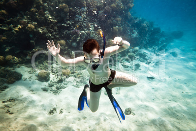 Snorkeler. Red sea