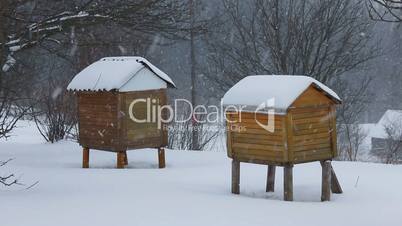 Winter in the village. Snowfall on the background of bee hives.