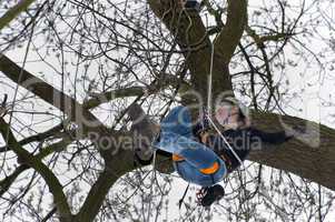 junge Frau klettert auf einen Baum