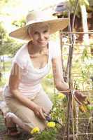 Senior Woman Relaxing In Garden