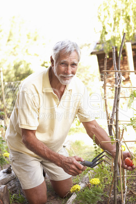 Senior Man Relaxing In Garden